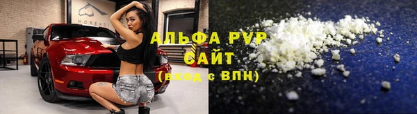 крисы Козельск