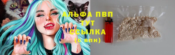 гидра Козловка