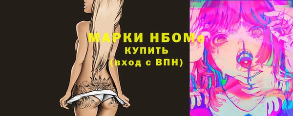 крисы Козельск