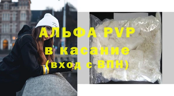 гидра Козловка