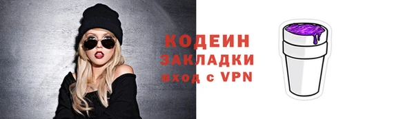 крисы Козельск
