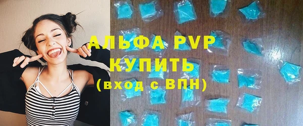 крисы Козельск