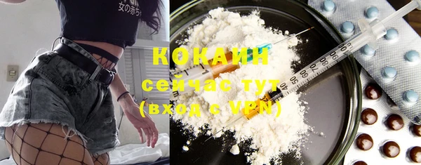 крисы Козельск