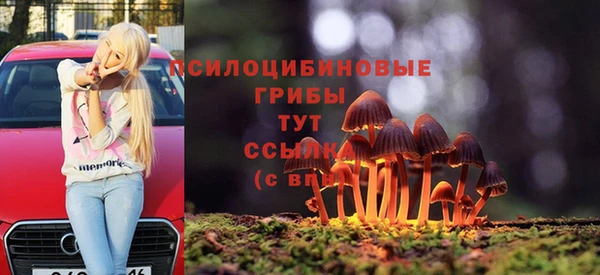 гидра Козловка