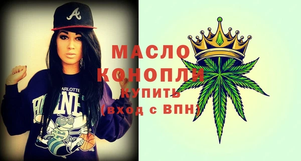 крисы Козельск