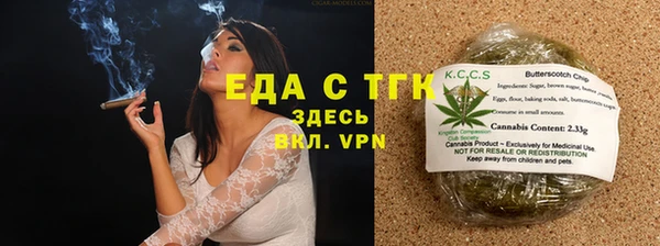 крисы Козельск